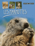 Les marmottes