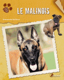 Le Malinois