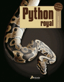 Python royal. Python regius