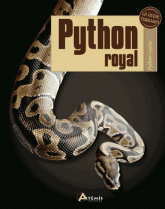 Python royal. Python regius
