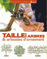 Taille des arbres et des arbustes d'ornement