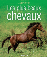 Les plus beaux chevaux. 450 photos