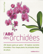 L'ABC des orchidées