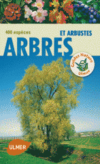 Arbres & arbustes