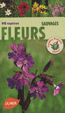 Fleurs sauvages