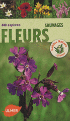 Fleurs sauvages