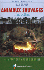 Animaux sauvages des villes