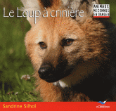 Le Loup à crinière