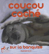 Coucou caché sur la banquise