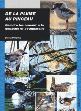 De la plume au pinceau. Peindre les oiseaux à la gouache et à l'aquarelle