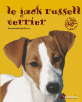 Le jack russel terrier