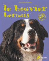 Le bouvier bernois