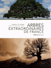 Arbres extraordinaires de France