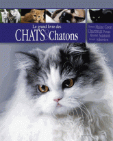 Chats et chatons