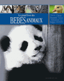 Bébés animaux