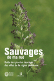 Sauvages de ma rue. Guide des plantes sauvages des villes de la région parisienne