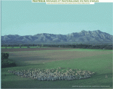 Pastreja. Paysages et pastoralisme en Pays d?Arles