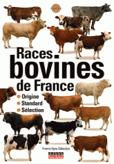 Races bovines de France. Origine, standard, sélection