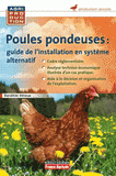 Poules pondeuses : guide d'installation en système alternatif