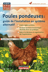 Poules pondeuses : guide d'installation en système alternatif