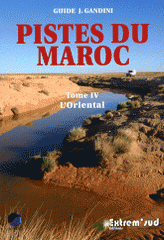 Pistes du Maroc à travers l'histoire. Tome 4, L'Oriental, de la Méditerranée à Figuig