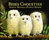 Bébés chouettes