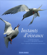 Instants d'oiseaux