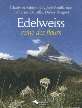 Edelweiss. Reine des fleurs