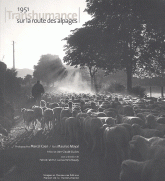 1951. Transhumance sur la route des alpages