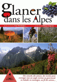 Glaner dans les Alpes