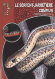 Le serpent-jarretière commun. Thamnophis sirtalis