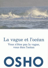 La vague et l'océan