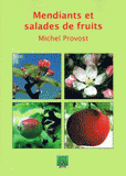 Mendiants et salades de fruits