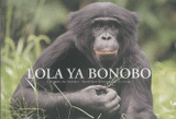 Lola ya bonobo. Le paradis des bonobos - République Démocratique du Congo