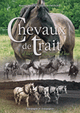 Chevaux de trait d'hier et d'aujourd'hui