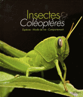 Insectes et coléoptères. Espèces, mode de vie, comportement