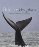 Baleines et dauphins. Espèces, Mode de vie, Comportement