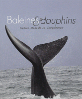 Baleines et dauphins. Espèces, Mode de vie, Comportement