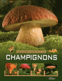 Encyclopédie essentielles des champignons