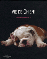 Vie de chien !