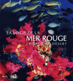 La magie de la mer rouge. Coraux et desert