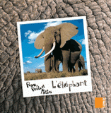 Peau, poils et pattes 
L'éléphant