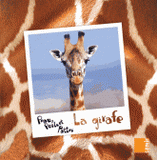 Peau, poils et pattes 
La girafe