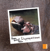 Peau, poils et pattes 
L'hippopotame
