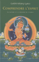 Comprendre l'esprit. La nature et le pouvoir de l'esprit
2e édition
